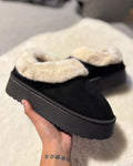 Pantubota basica