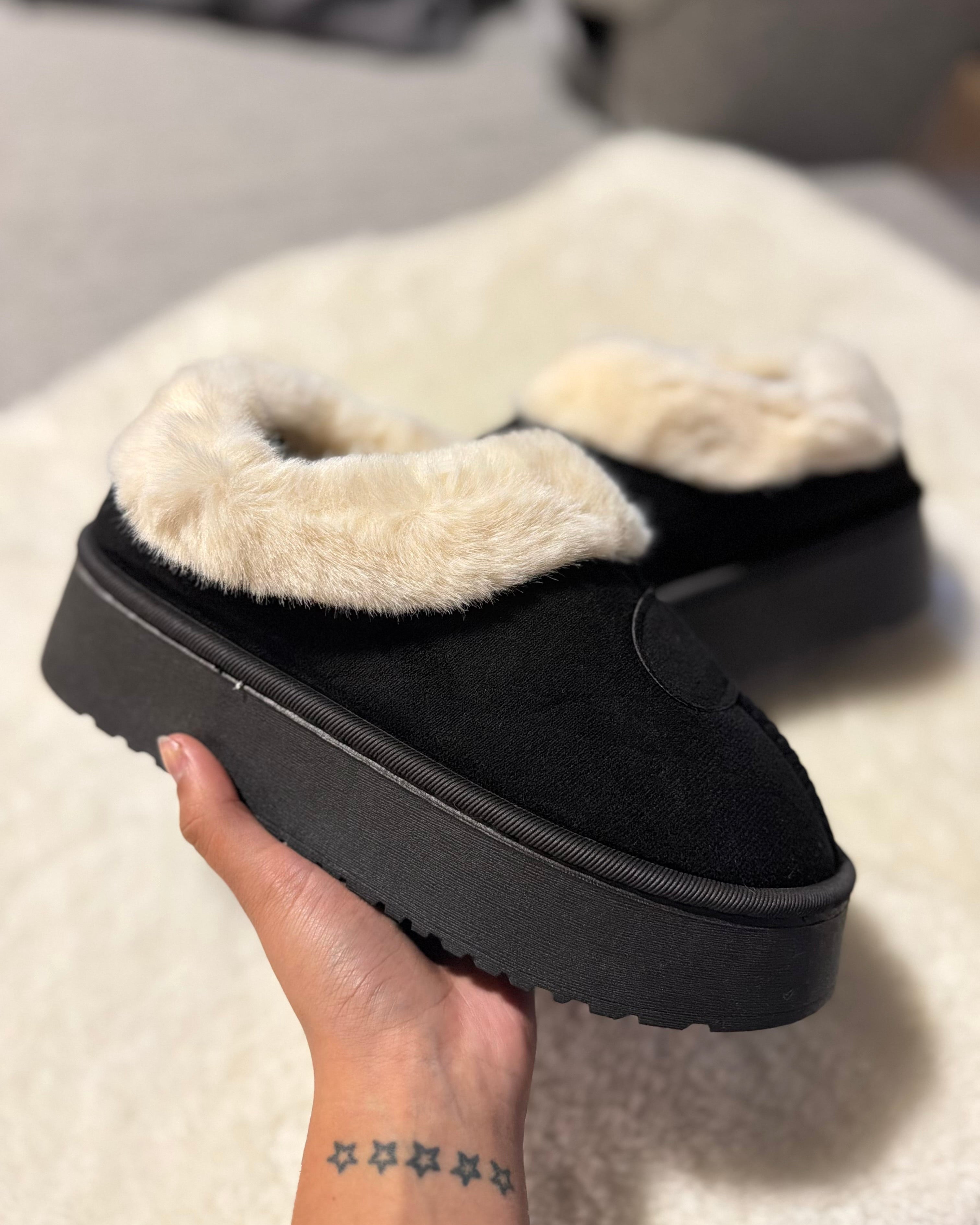Pantubota basica