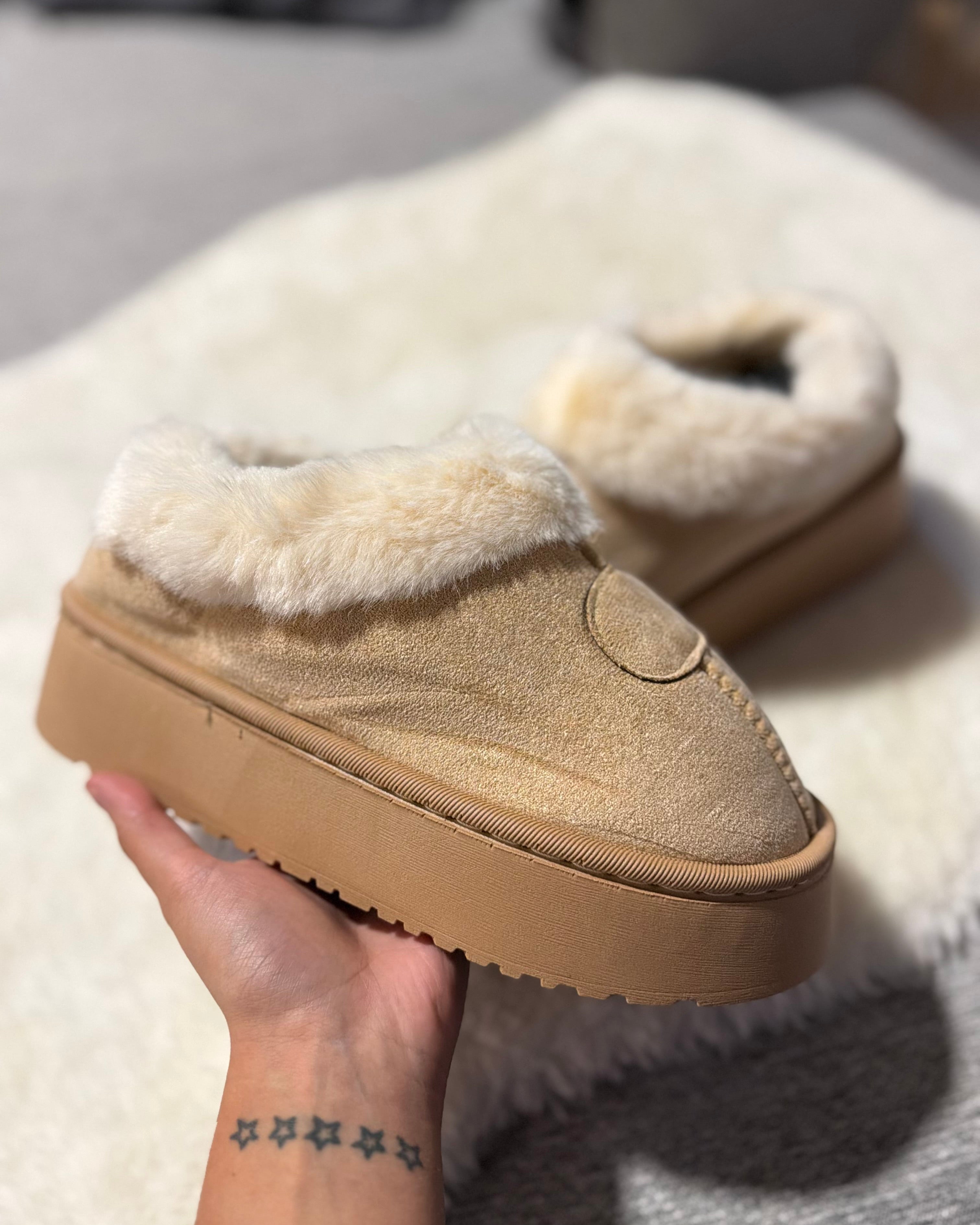 Pantubota basica