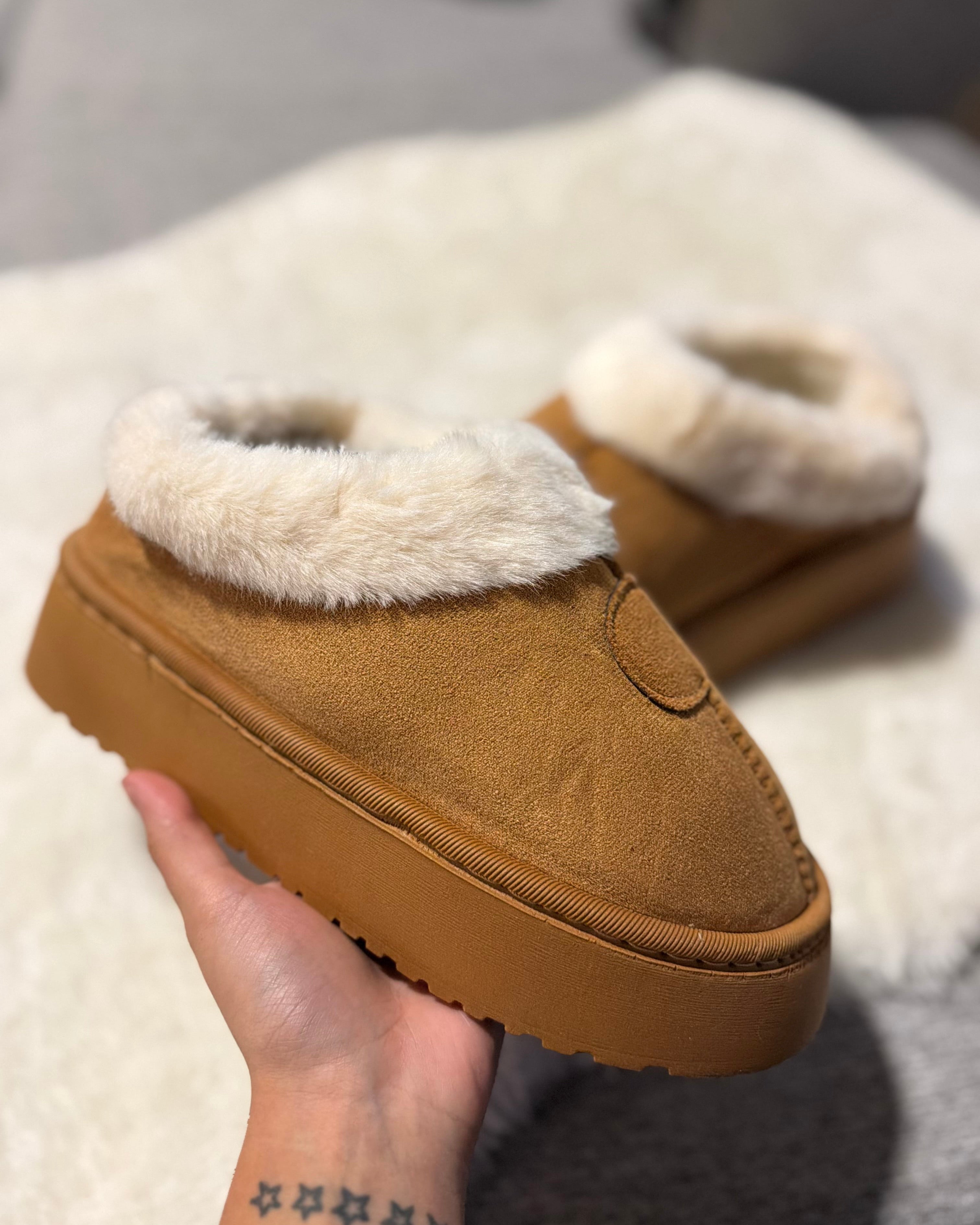 Pantubota basica