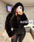 Chaqueta teddy Premium